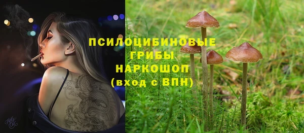 круглые Протвино