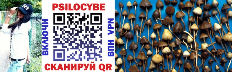 Галлюциногенные грибы MAGIC MUSHROOMS  Купить закладки  Пыталово 